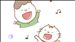 Yシャツイベント