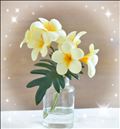 今月も ありがとうございました✨