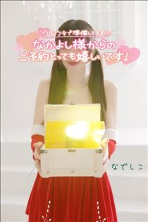 なでしこ・おしまい！またあそんでね！