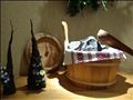 ☆本日のご予約状況☆