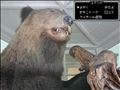 ☆残り3日ご予約状況☆
