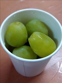 なでしこ・明日もいるよ！