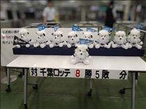 なでしこ・☆残り2日ご予約状況☆