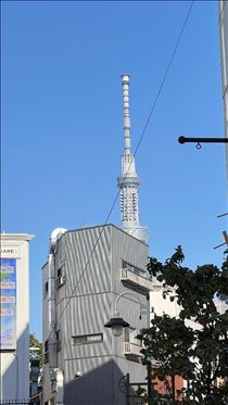 あん・今日も