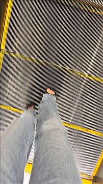 あん・出勤します