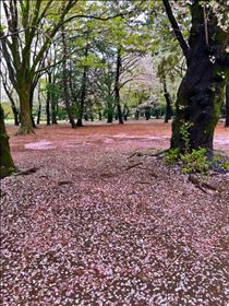 あん・ピンクぴんくpink