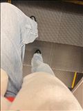 出勤します