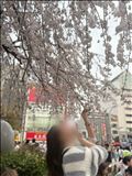 まだまだ