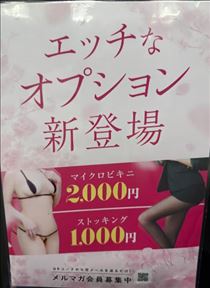 みなみ・やっと
