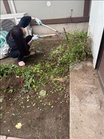 みなみ・ちくちく