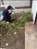 ちくちく