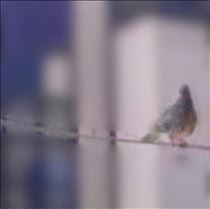 クララ・知らない世界
