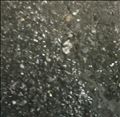 水の裏