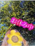 逃げ場所は?