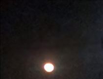 クララ・さわってみたい