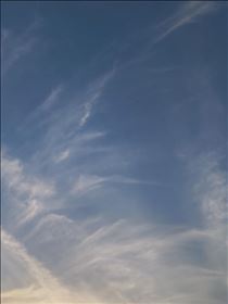 クララ・空に干す