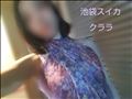 次回ご案内可能時間