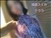 次回ご案内可能時間