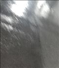 ありがとうございます