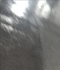 クララ・ありがとうございます