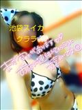 犬だわん