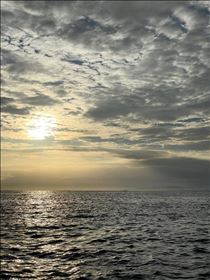 アスカ・いつの間にやら