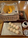 やっぱ通うぅぅ