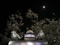 アスカ・そろそろ