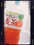 これからどうしようかなぁ？
