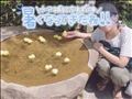 まけないで。