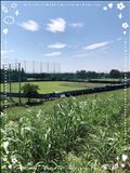 あいことば。
