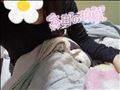 お休みでした