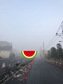 らん・霧