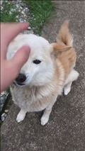 お手