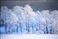 大雪