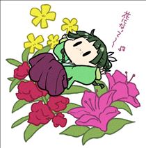 白川りん・先の予定🐈‍⬛