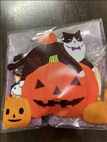 白川りん・ハロウィン🎃