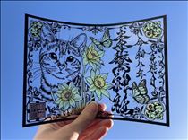 白川りん・御朱印