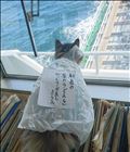 反省。