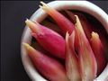茗荷