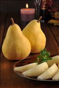 🍐洋梨。