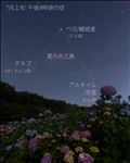 七夕🎋