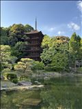 山口③