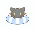 🐈‍⬛