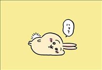 白川りん・うさぎ