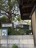 能