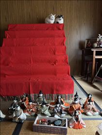 白川りん・🐈