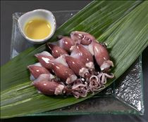 白川りん・初耳🦑