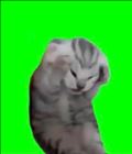 おやすみします