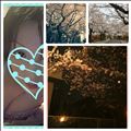 到着して(o^-^o)